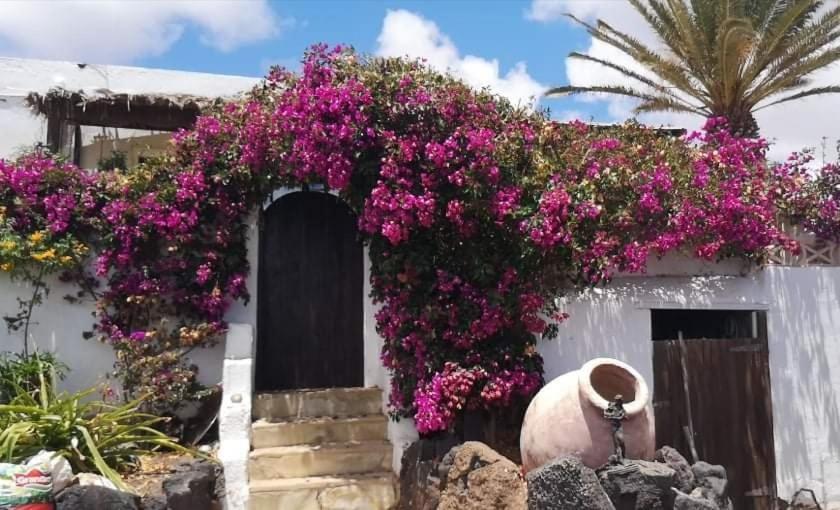 Casa De Gato Rustic Finca Tahiche Exterior photo