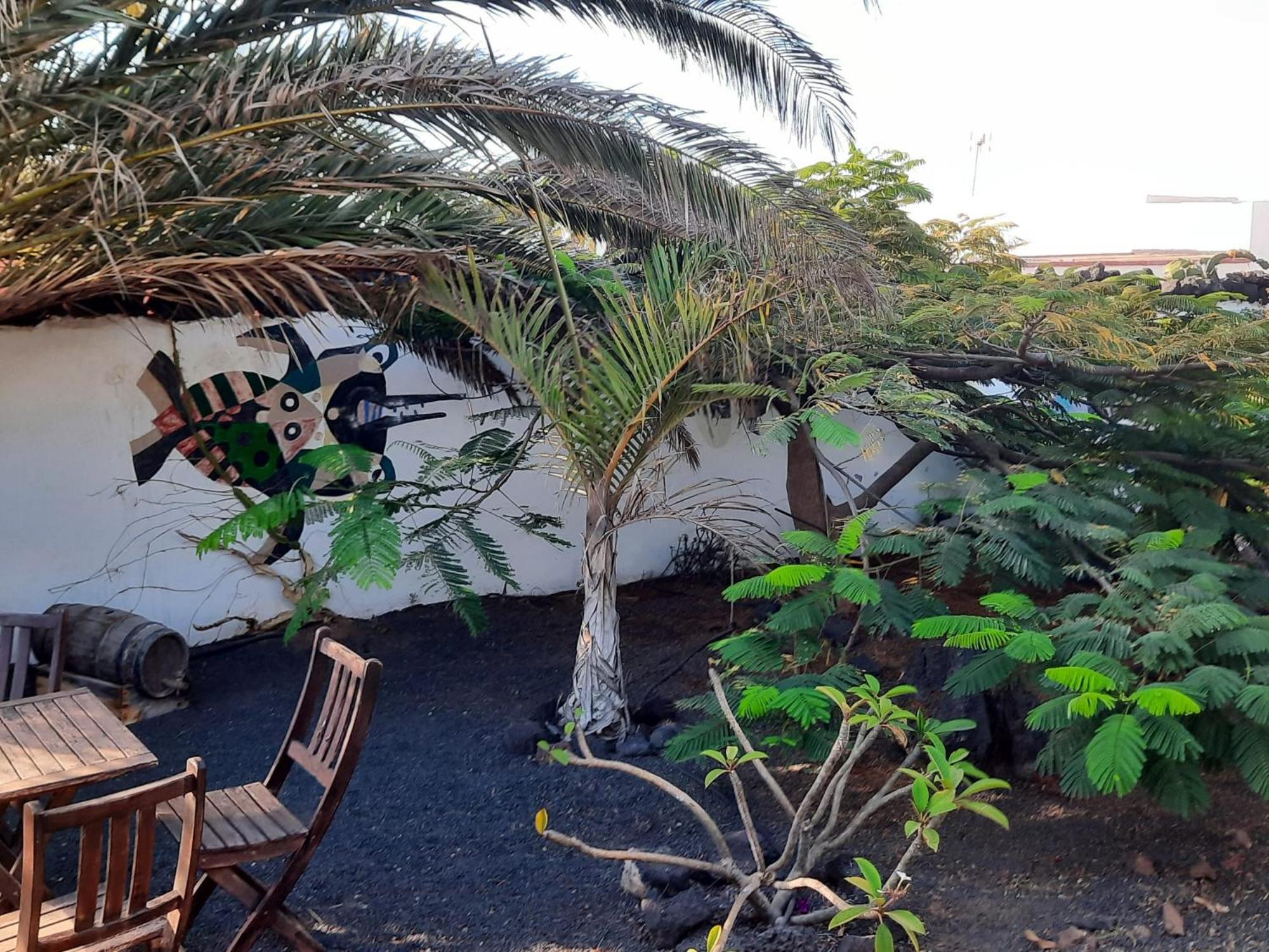 Casa De Gato Rustic Finca Tahiche Exterior photo